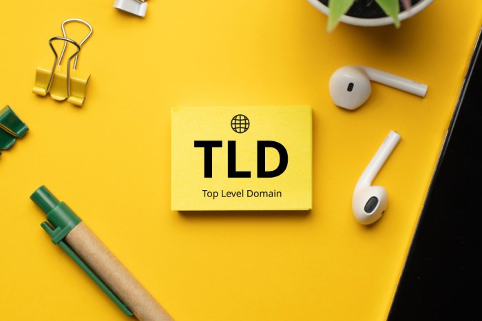New TLDs (top-level domains) 2025